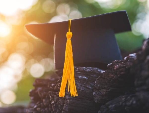 Cinco razones por las que es importante estudiar un doctorado