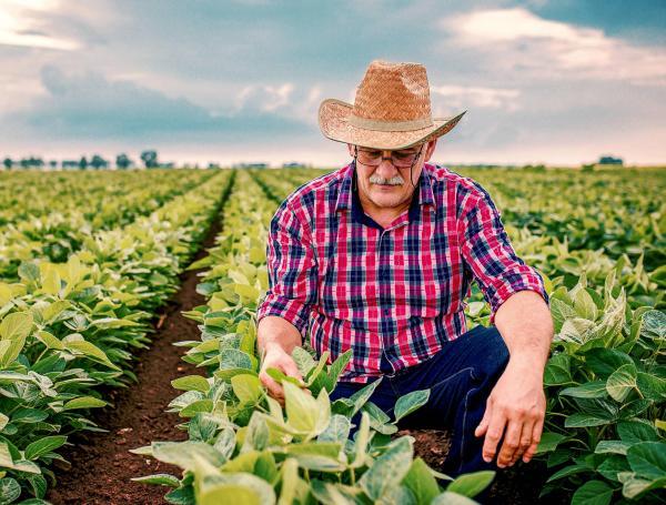 Colombia es un país mayoritariamente agrícola y maestros de la tierra es lo que abundan, pero aún se carece de orientación y políticas de inclusión total que hagan que los campesinos estén totalmente alineados con la economía nacional.