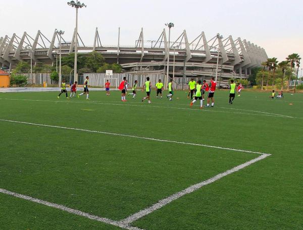 Aspecto de las canchas externas al estadio Metropolitano, hace cinco años.