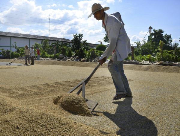  Centro, 71.000. Llanos, 204.000. Bajo Cauca, 44.000. Costa Norte, 13.000. Y Santanderes, 20.000.