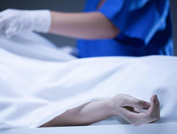 El cuerpo se movió de forma sospechosa y 'puso a dudar' a uno de los expertos, quien lo declaró como vivo.