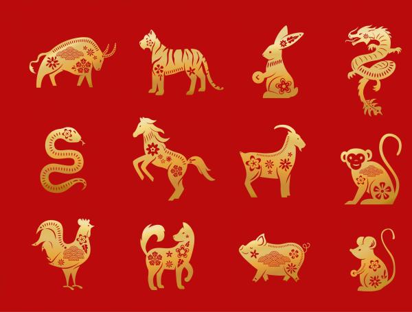 Son 12 animales en total. Conozca sus características.