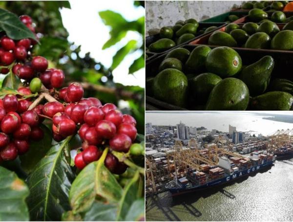 Estados Unidos es uno de los países con los que Colombia ha firmado Tratado de Libre Comercio.