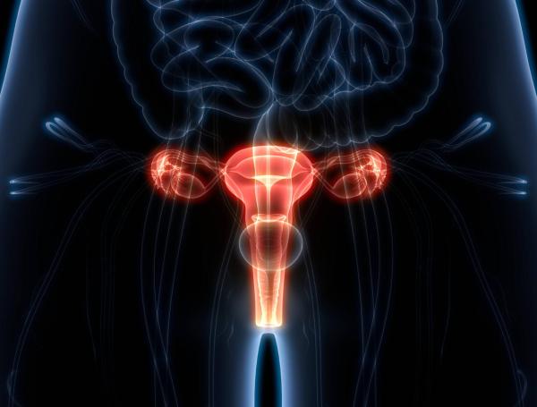 Las opciones de tratamiento incluyen cirugía, radioterapia, quimioterapia, entre otros.