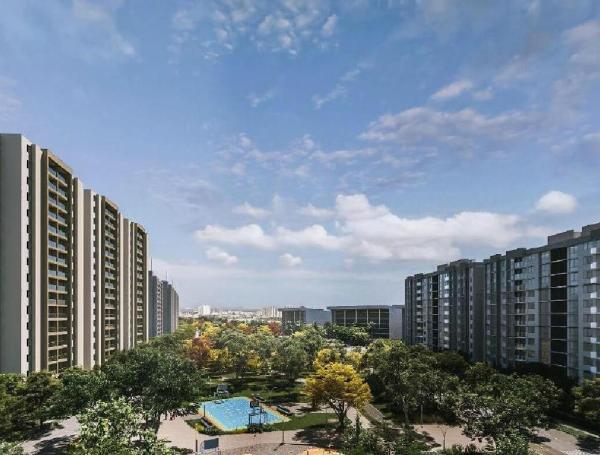 Aspecto general del proyecto habitaciones Ciudad de Mallorquín.