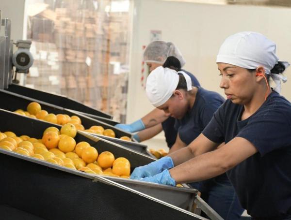 La informalidad laboral crece