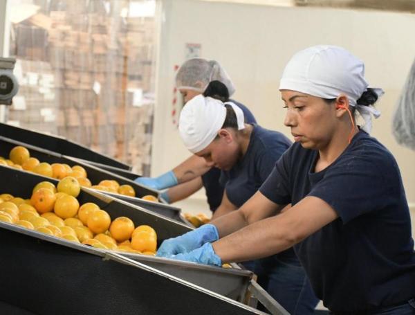 La informalidad laboral crece