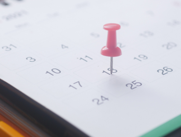 Los días cívicos no suelen aparecer en un calendario oficial.