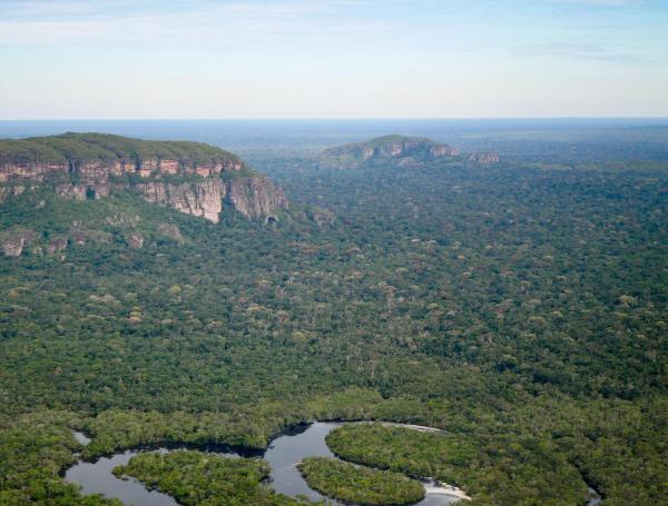 El Parque Nacional Natural Serranía de Chiribiquete es el área protegida más grande de la Amazonia continental.