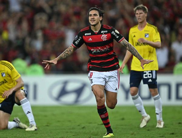 Flamengo vs. Millonarios