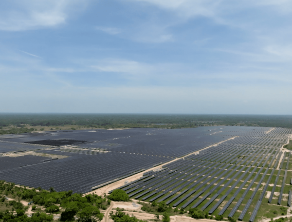 Parque solar