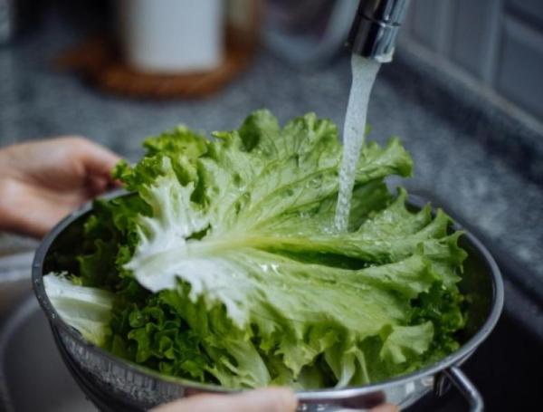 Estos alimentos son ricos en fibra didietética.