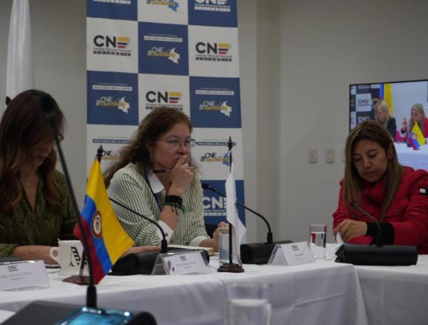 Alejandra Barrios, directora de la MOE.