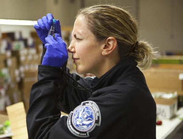 CBP cuenta con muchas agentes mujeres