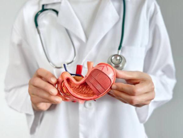 Pancreas