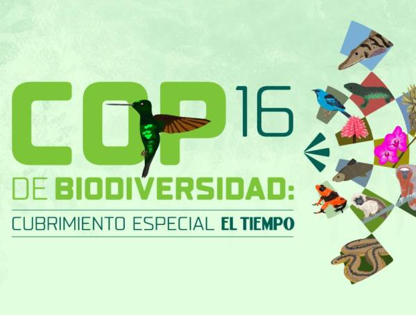Share cubrimiento especial COP16