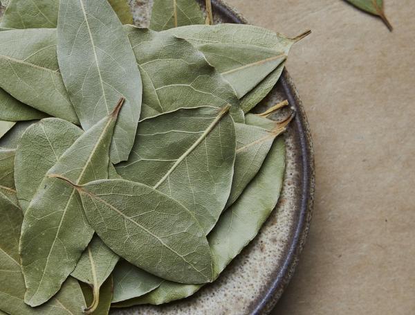 El laurel es un símbolo de protección.