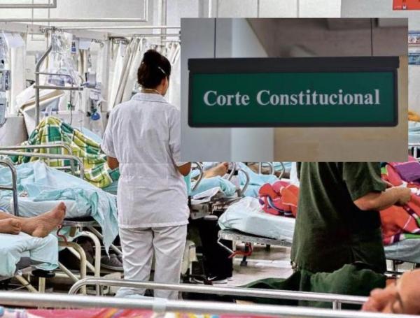 Corte Constitucional