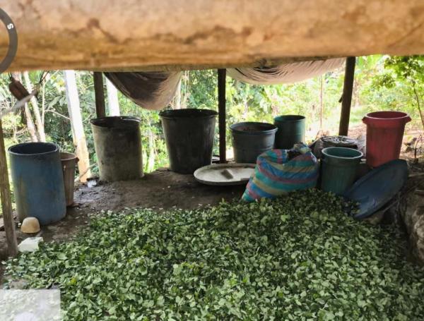 En los operativos se incautaron 9.448 kilos de hoja de coca.