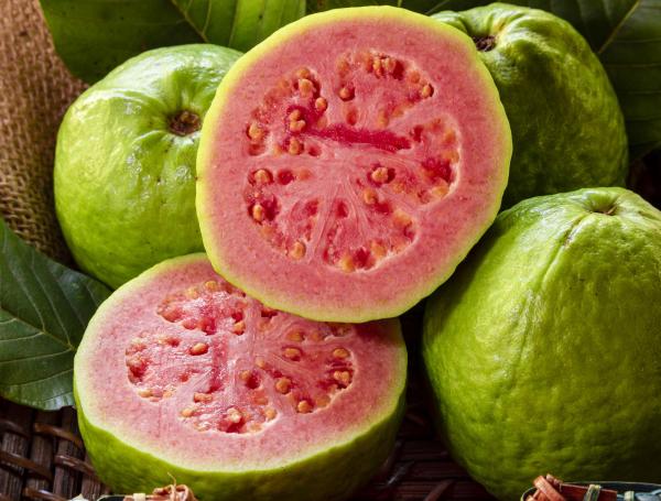 Guayaba