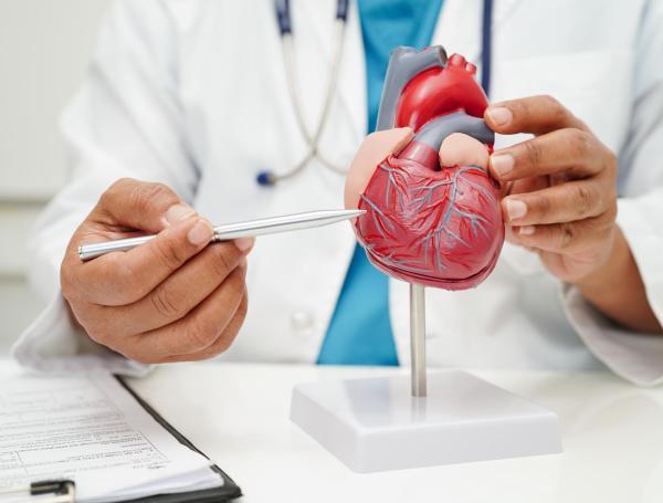 salud cardiovascular