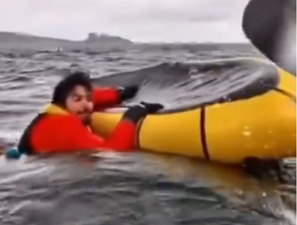 Ballena que se tragó a un hombre en Chile