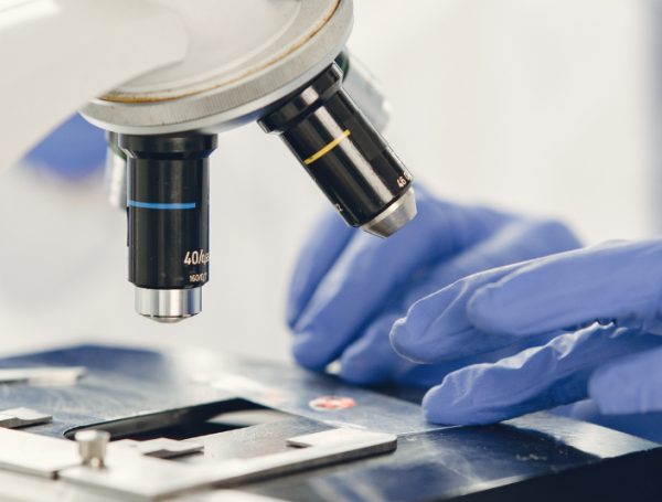Laboratorio