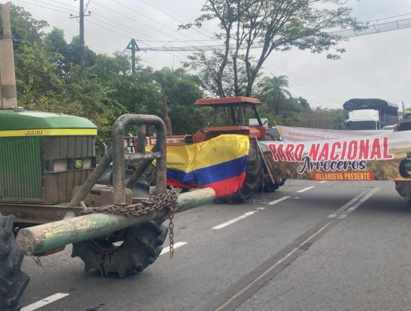 Protesta arrocera en Villanueva, en el sur de Casanare. Paro de arroceros