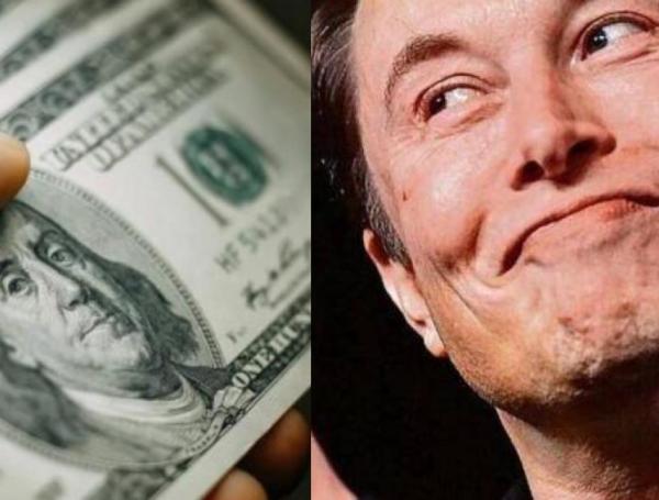 DOGE Musk