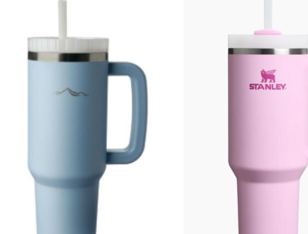vaso aldi y stanley