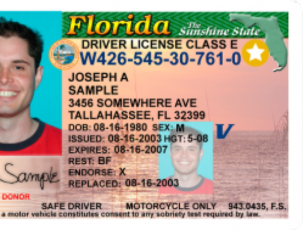 florida licencia de conducir