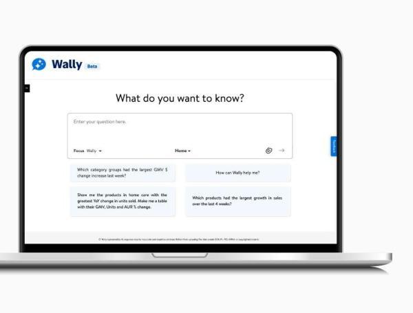 wally de walmart