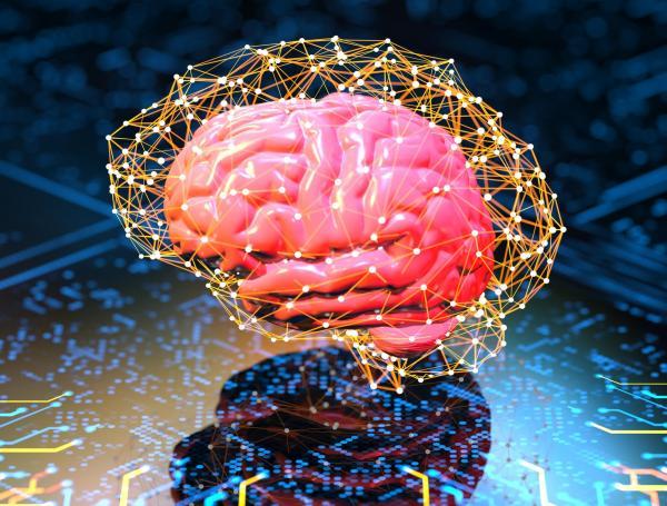 Cerebro