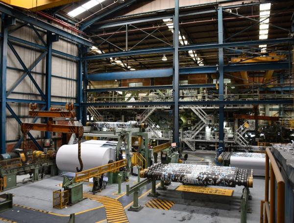 consecuencias que podría traer la suspensión en al industria del papel cierre de Propal.