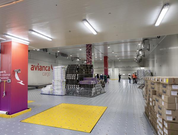 Avianca Cargo fue una de las compañías encargadas de transportar por 2.435 kilómetros las cajas con los ramos.