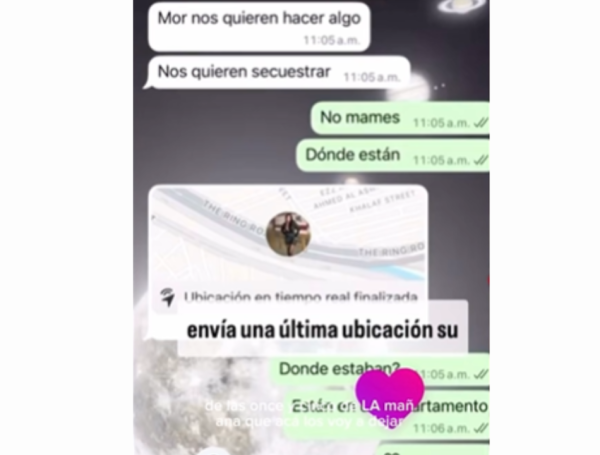 Captura de pantalla TikTok.