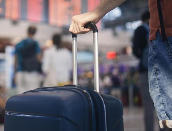 Viajar cuidando perros