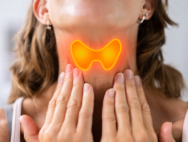 La tiroides es una glándula endocrina con forma de mariposa ubicada en el cuello, justo debajo de la nuez de Adán.