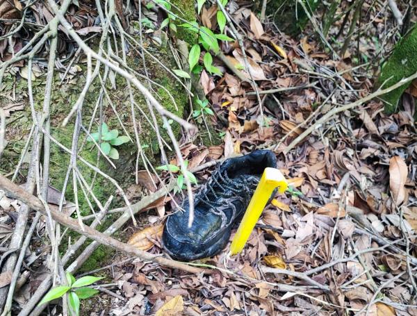 Parte de lo encontrado en zona rural de Jamundí, junto a los restos óseos humanos.