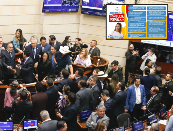 La consulta popular se hundió con 49 votos.