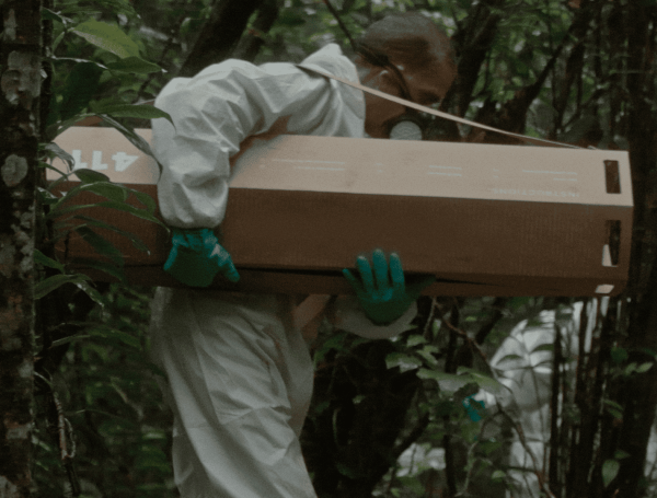 Living Fabric es un textil biodegradable elaborado con fibras de fique.