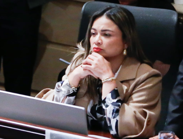 La representante denunció que no ha recibido apoyo del Gobierno.