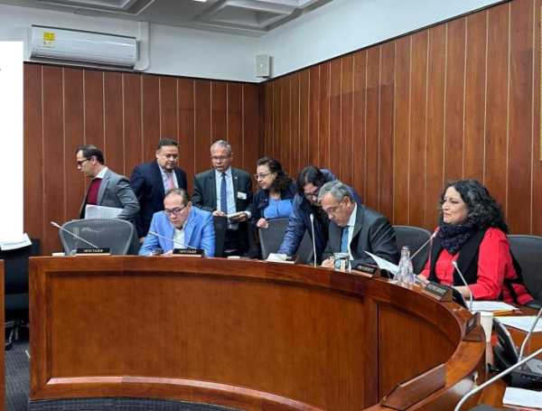 La ponencia alternativa incluiría el articulado aprobado en la Cámara de Representantes.