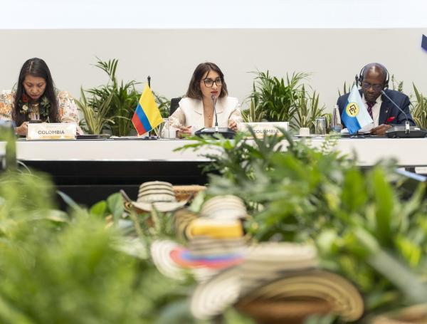 La canciller Laura Sarabia en la cumbre del Gran Caribe.