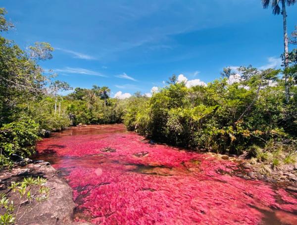 la temporada de vistas a los turistas de los destinos naturales más extraordinarios del mundo se realiza a partir de mayo