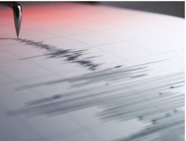 Reportan sismo en la madrugada de este lunes festivo