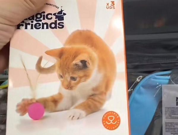 Esta fue una de las compras que realizó la tiktoker.