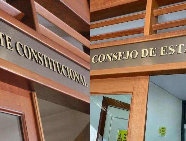 Corte Constitucional