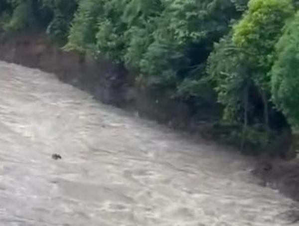 Emergencia en el río Güejar.