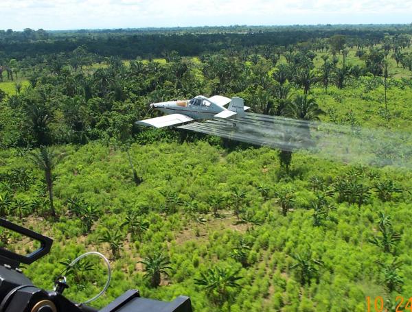 Fumigación aérea de cultivos ilícitos.